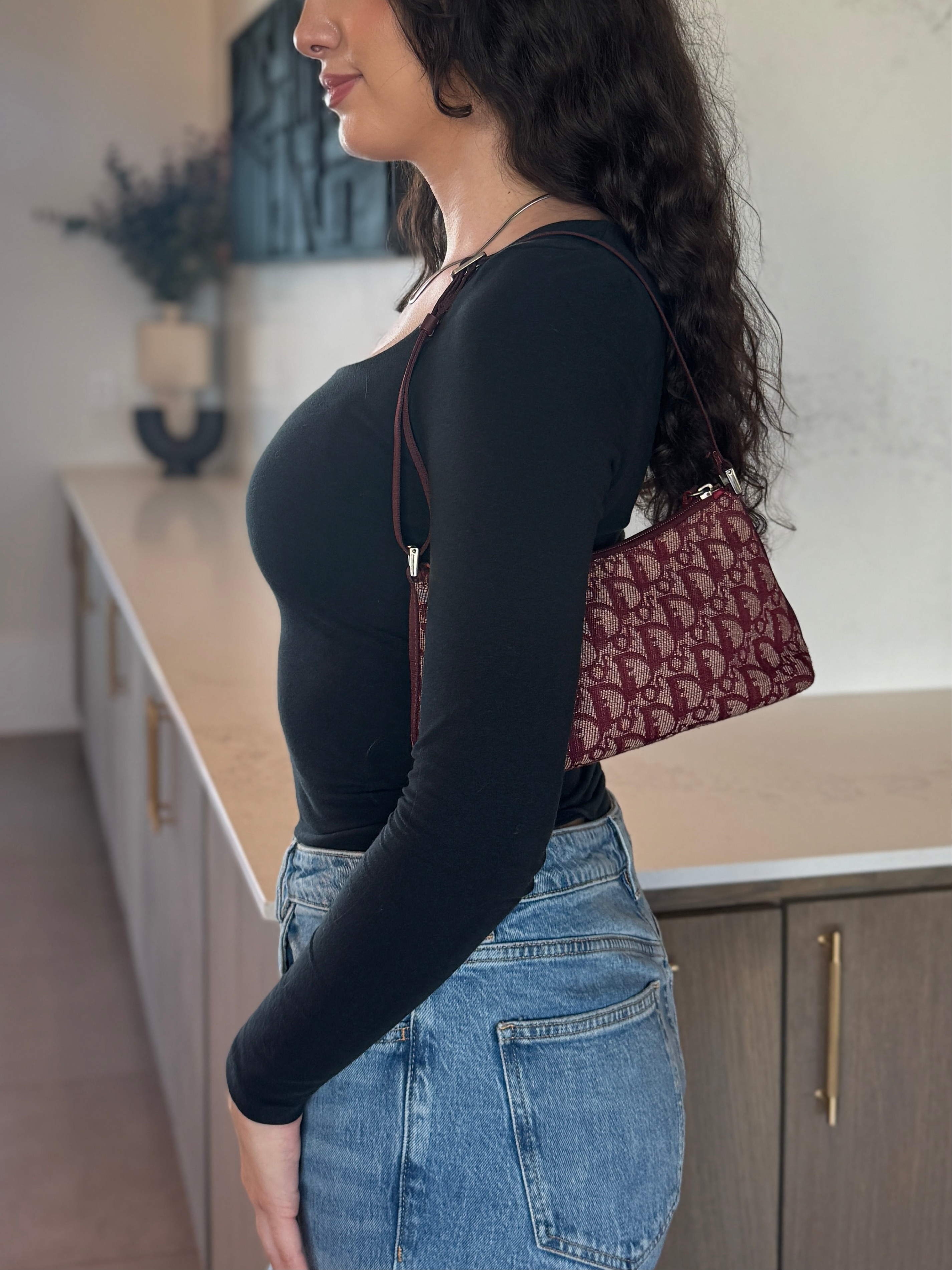 Dior Trotter Burgundy Pochette