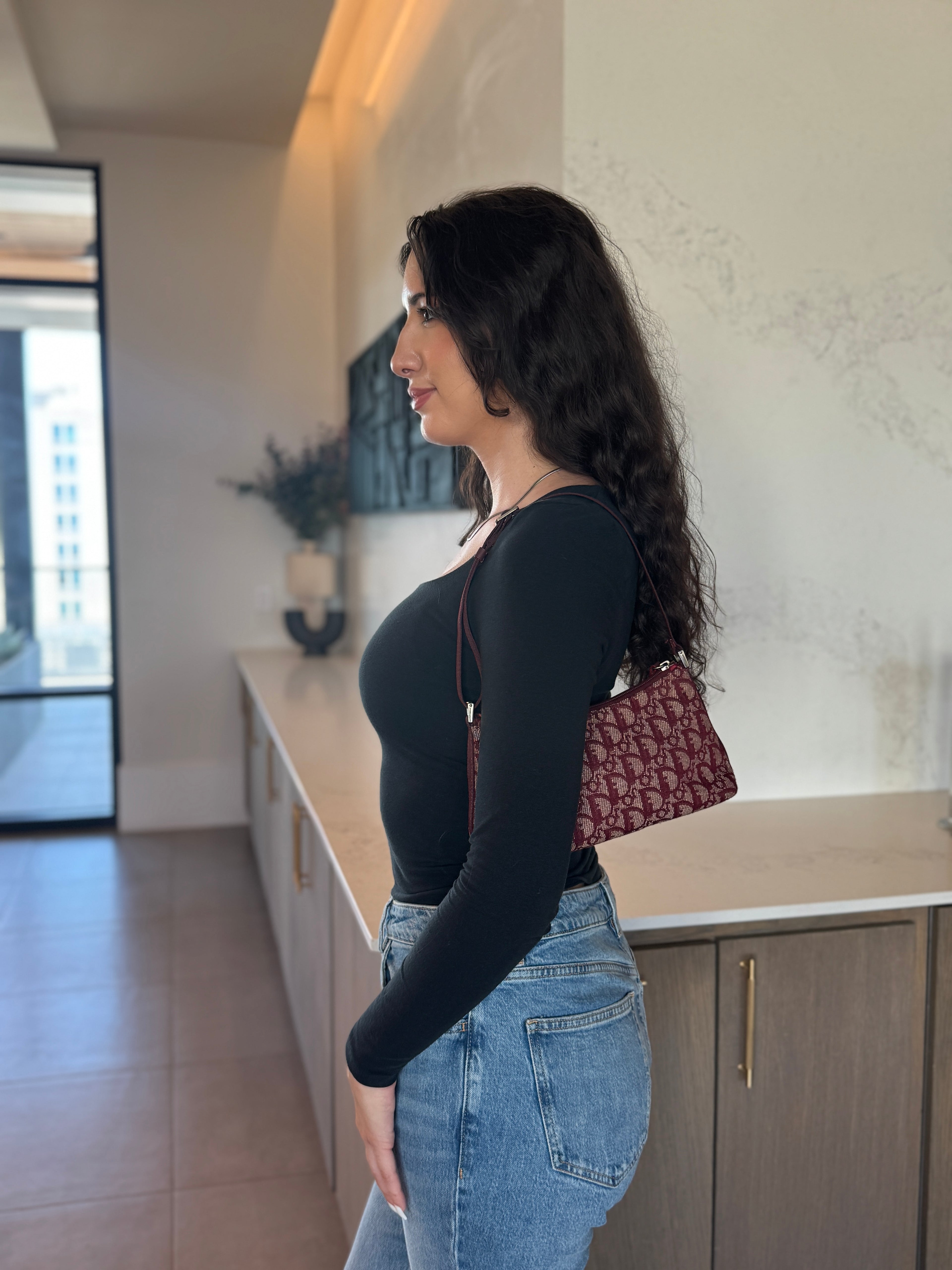 Dior Trotter Burgundy Pochette