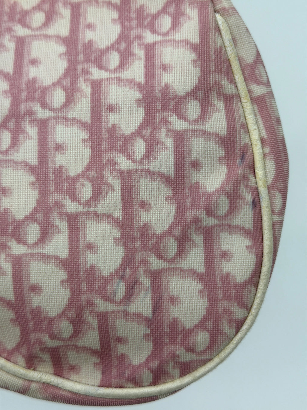 Pink Dior Trotter Mini Saddle Pochette