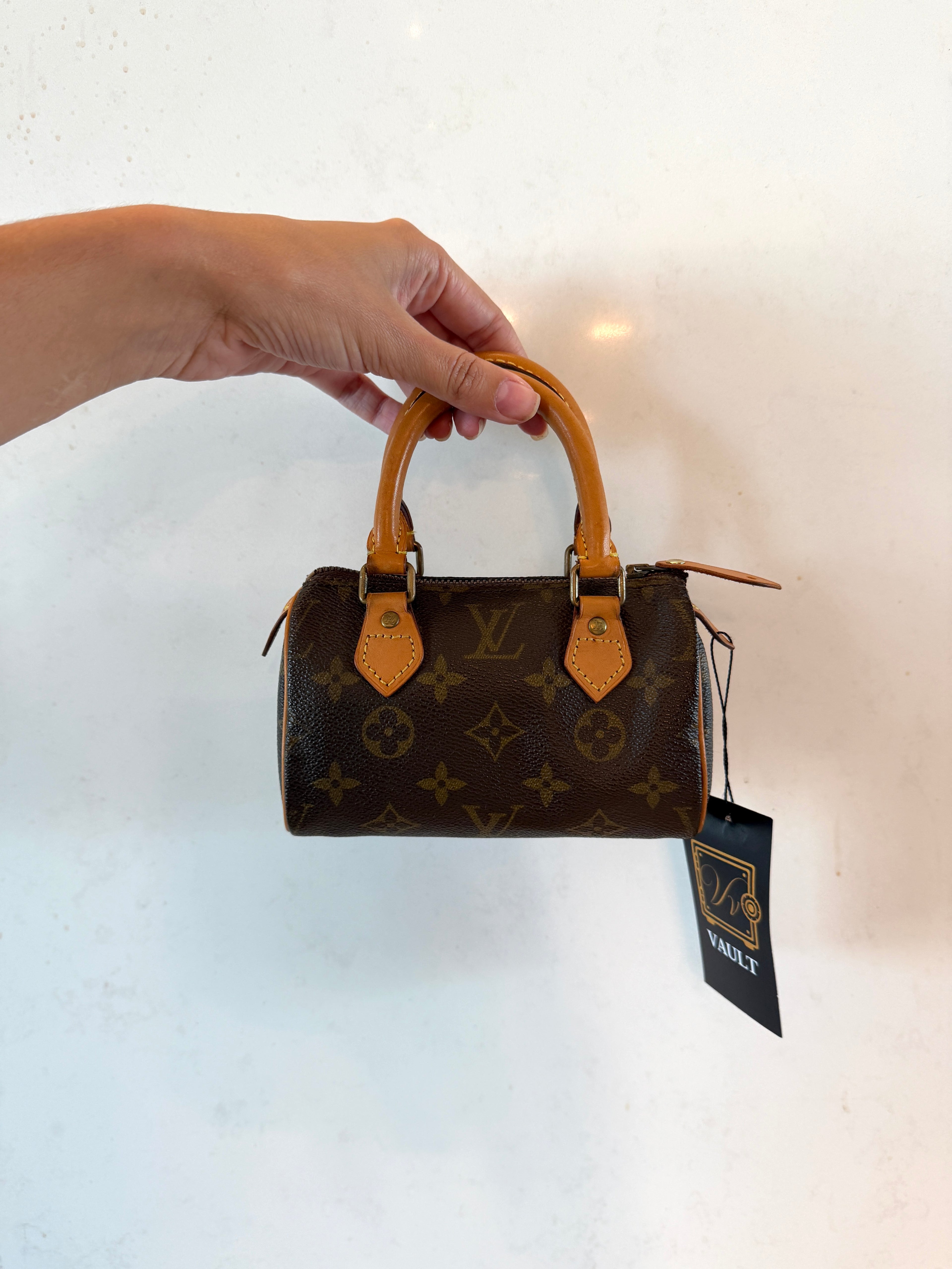 Louis Vuitton Nano Speedy