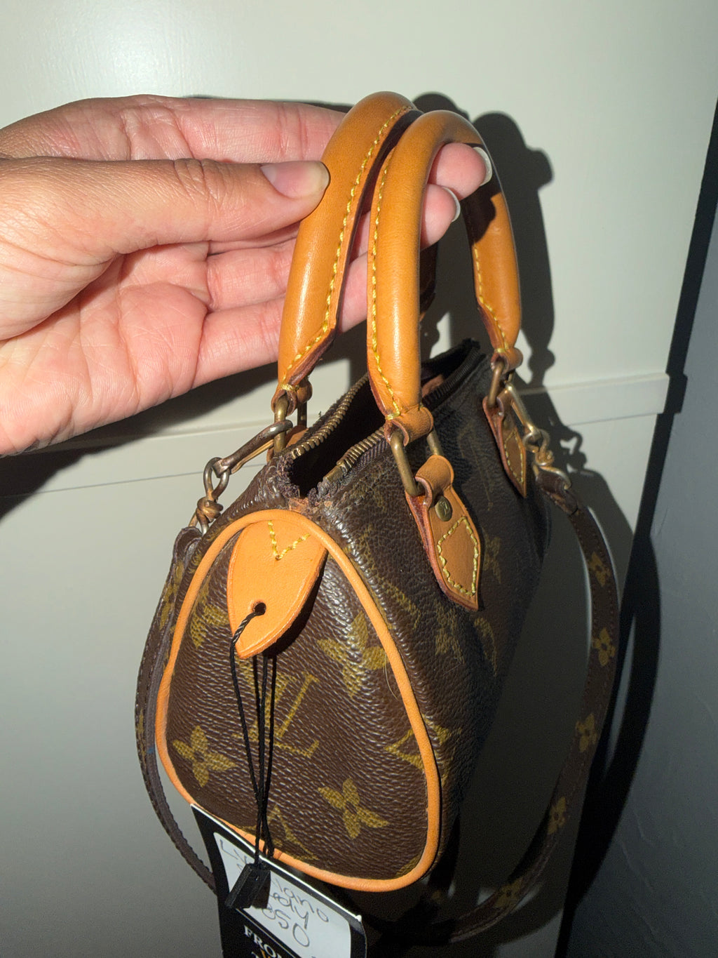 Louis Vuitton Nano Speedy