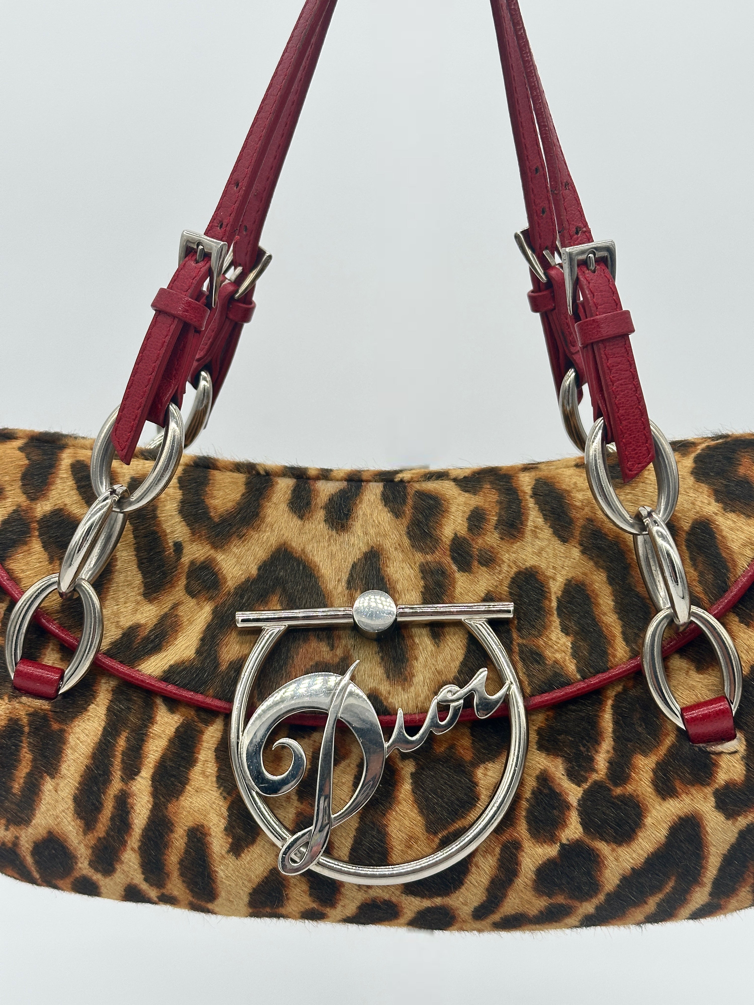 Christian Dior Pony Hair Leopard Diva Bag
