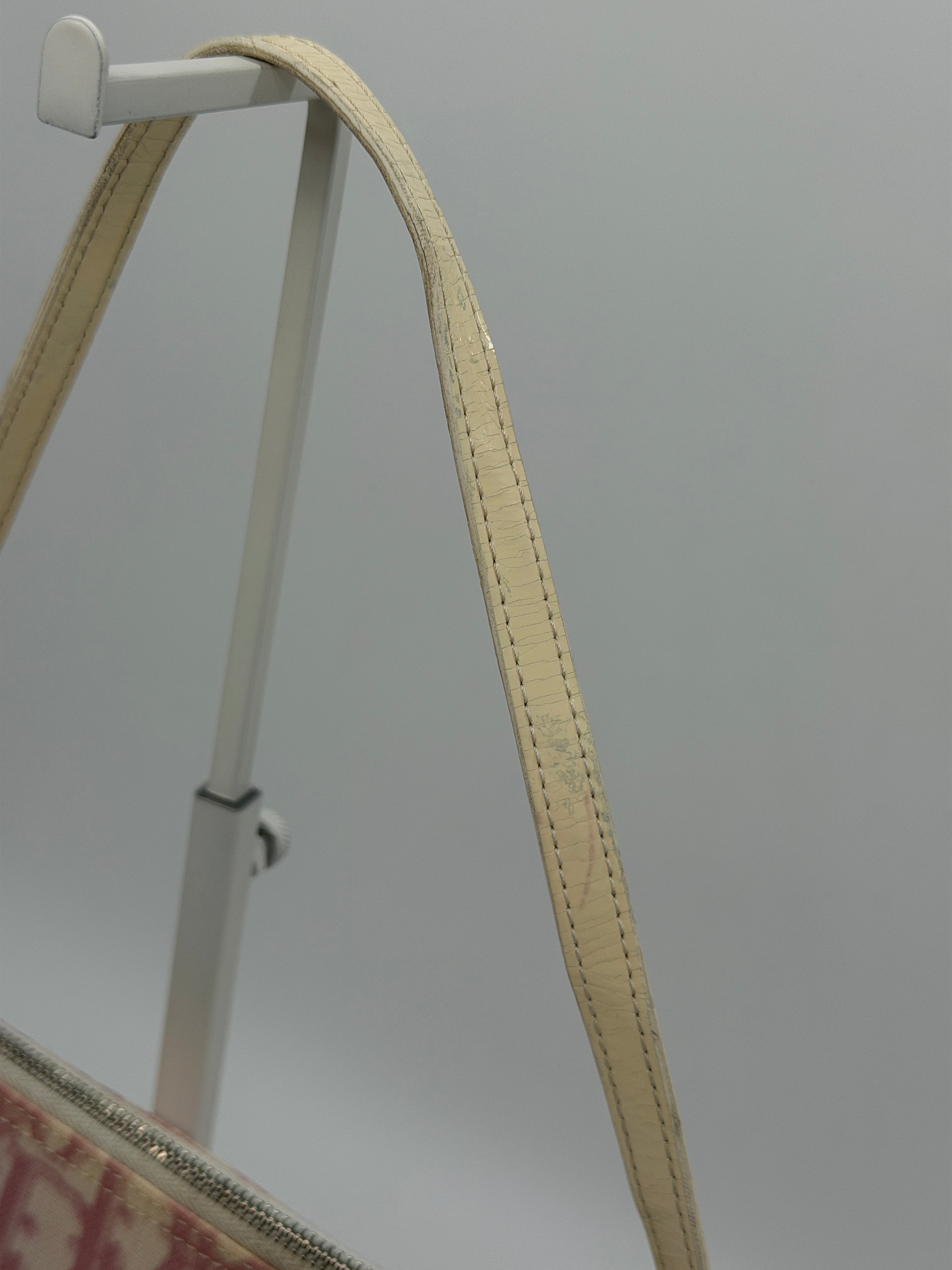 Pink Dior Trotter Mini Saddle Pochette