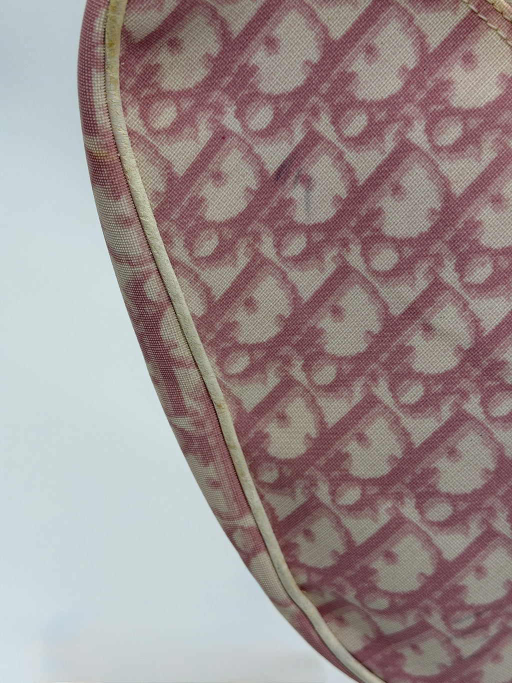 Pink Dior Trotter Mini Saddle Pochette