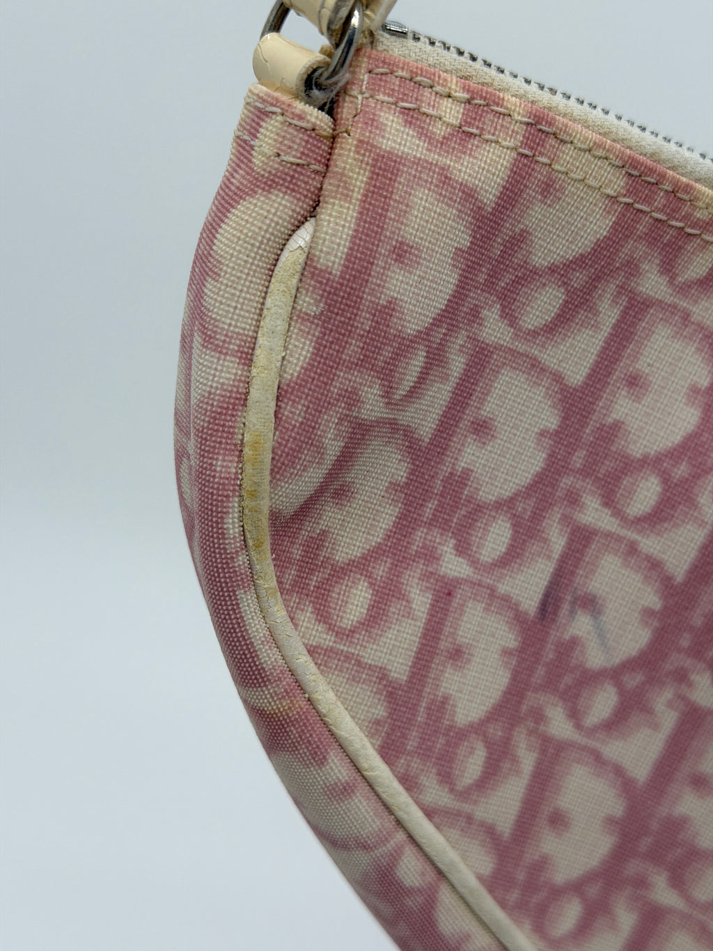 Pink Dior Trotter Mini Saddle Pochette