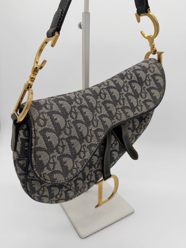 Dior Trotter Saddle Gold Hardware