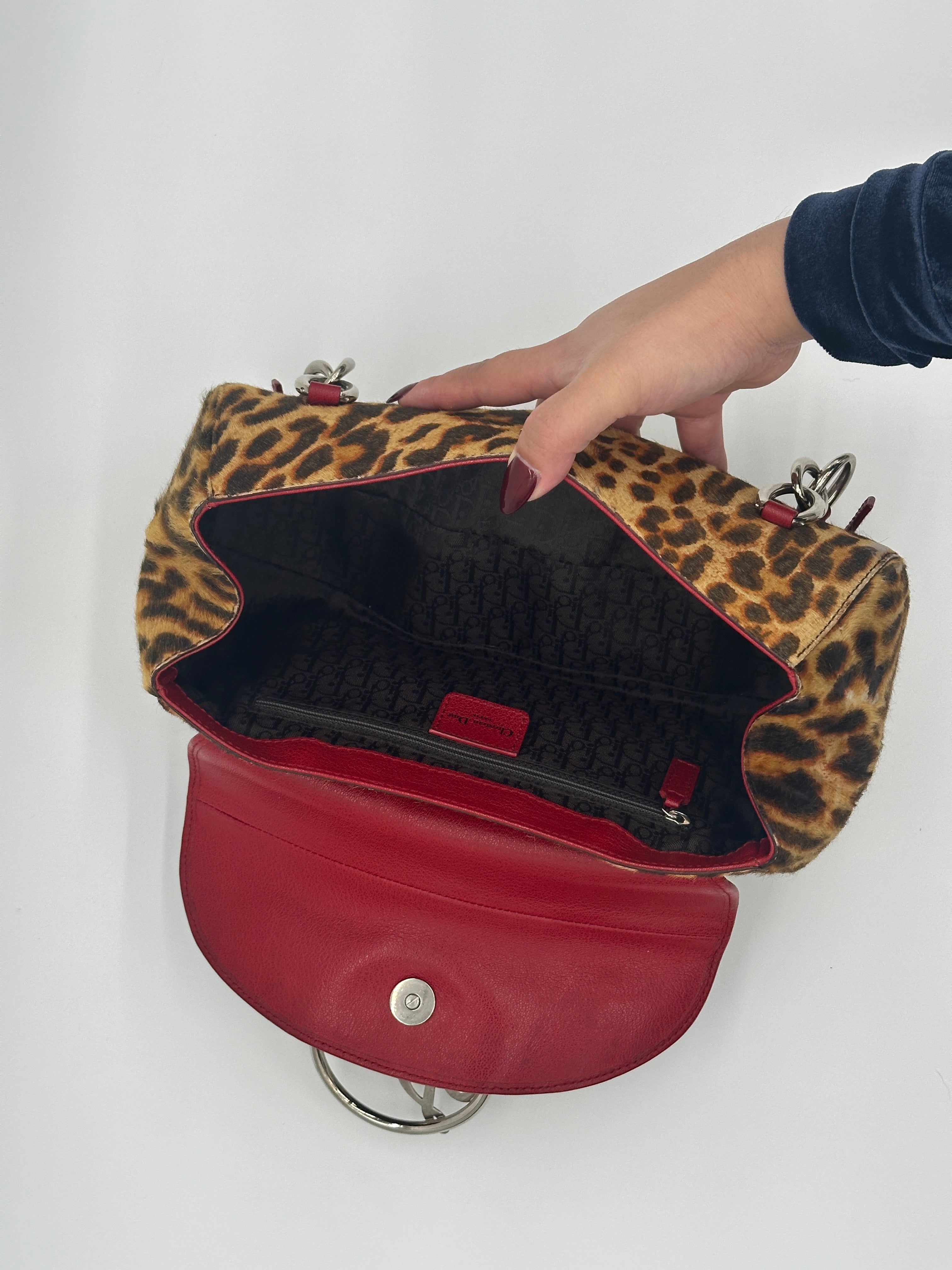 Christian Dior Pony Hair Leopard Diva Bag